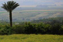 Photo of “الأردنية الفلسطينية” تعلن عن أول عقود الاستدراج للزراعات التعاقدية
