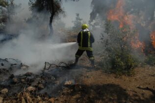Photo of إخماد حريق أتى على 150 دونماً من الأشجار الحرجية بالكورة