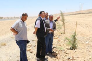 Photo of وزير الزراعة: 150 ألف شجرة زُرعت بالسلطاني والأبيض