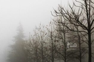 Photo of الأرصاد: تشكُّل رُكام ضبابي كثيف في منطقة رأس منيف